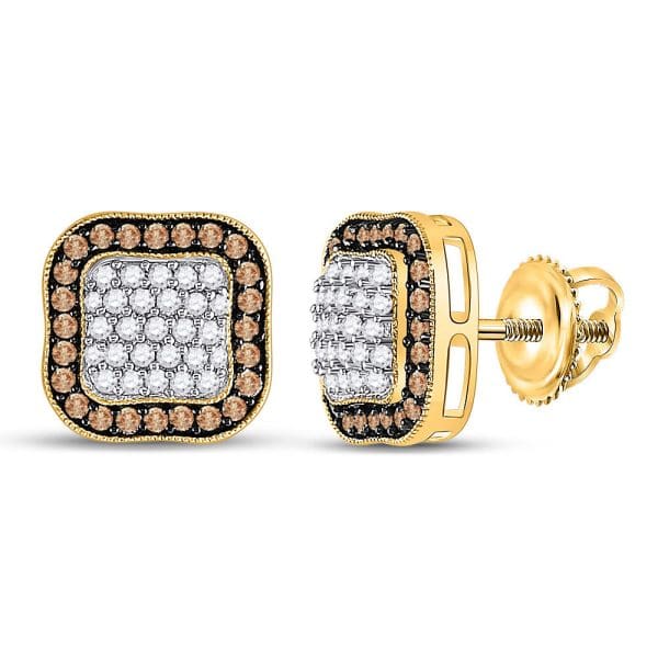 10kt Yellow Gold  Round Brown Diamond Square Frame Cluster Earrings 1 Cttw